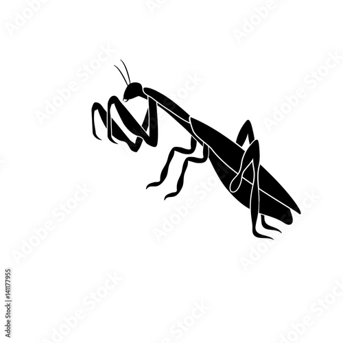 Silhouette of an insect mantis in a fighting posture