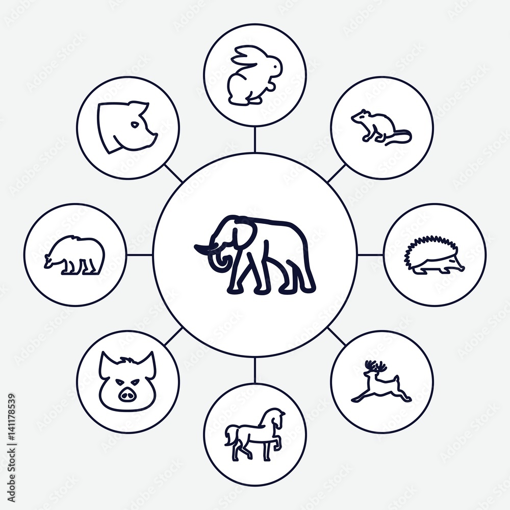 Fototapeta premium Set of 9 mammal outline icons