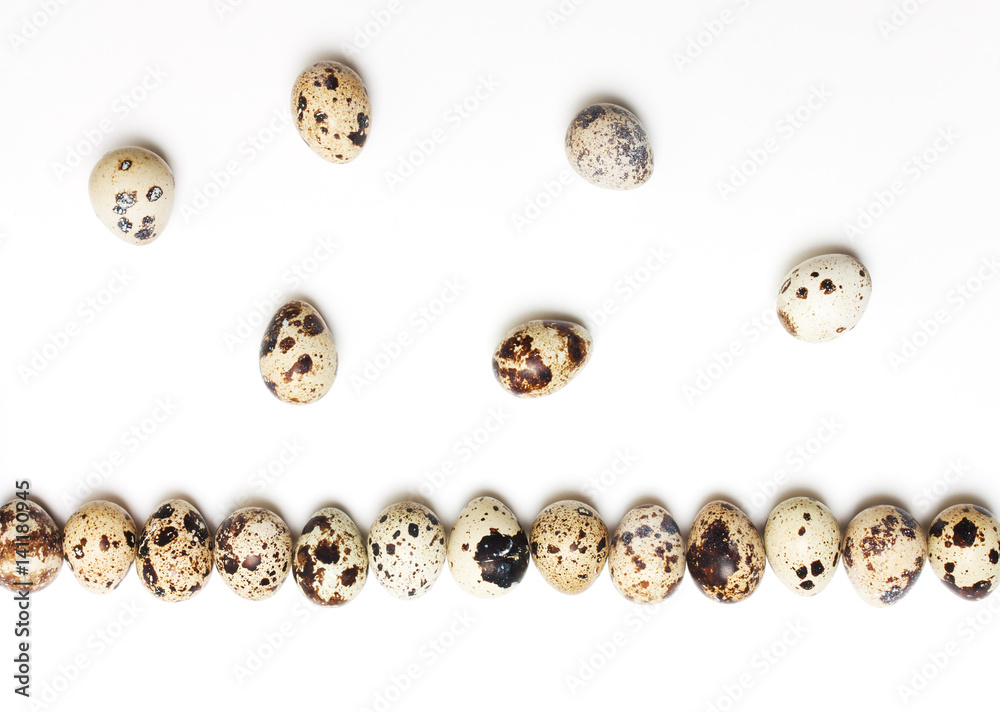 Quail eggs in a row on Quail eggs in a row on
