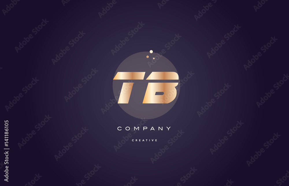 tb t b  gold metal purple alphabet letter logo icon template
