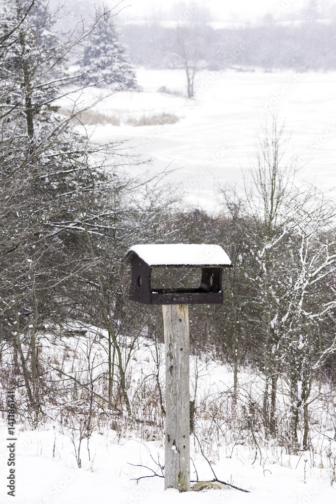Wooden handmade bird house in a vertical winter landscape, snow, trees and frozen lake Wooden handmade bird house in a vertical winter landscape, snow, trees and frozen lake