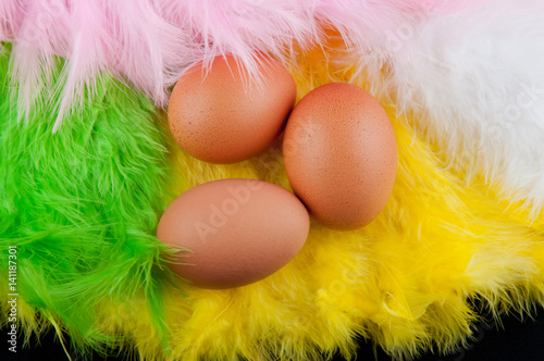 Yellow, green, rose, white color eathers and three brown eggs inside