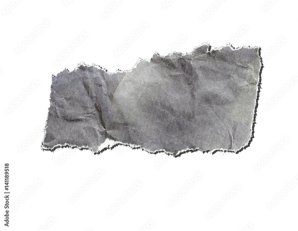 Blank torn paper or label isolated Blank torn paper or label isolated