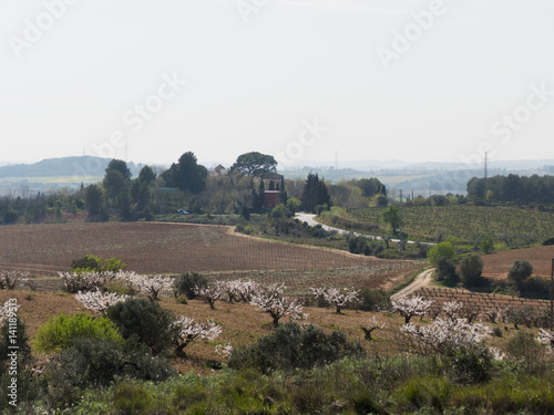 Paisaje de Sant Esteve Sesrovires 2