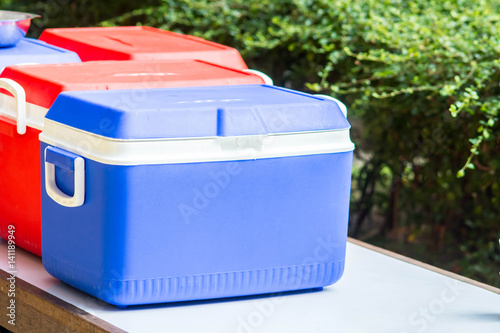 ice chest or Handheld refrigerator