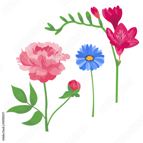 Cartoon petal vintage floral vector bouquet garden flower botanical natural p...