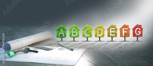 Tableau sur toile projet immobilier ,arbre,écologie