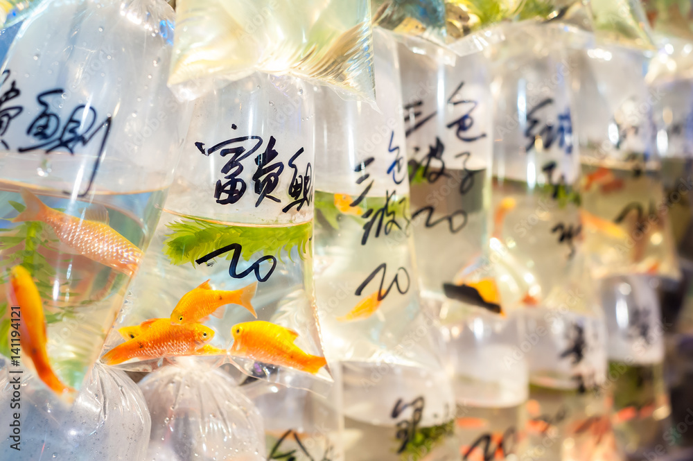 Φωτογραφία Tropical fish for sale at Hong Kong's Tung Choi Street goldfish market, Mong Kok