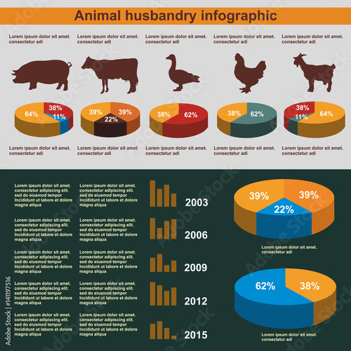 Animal husbandry infographic, vector, flat design, elements