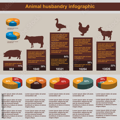 Animal husbandry infographic, vector, flat design, elements