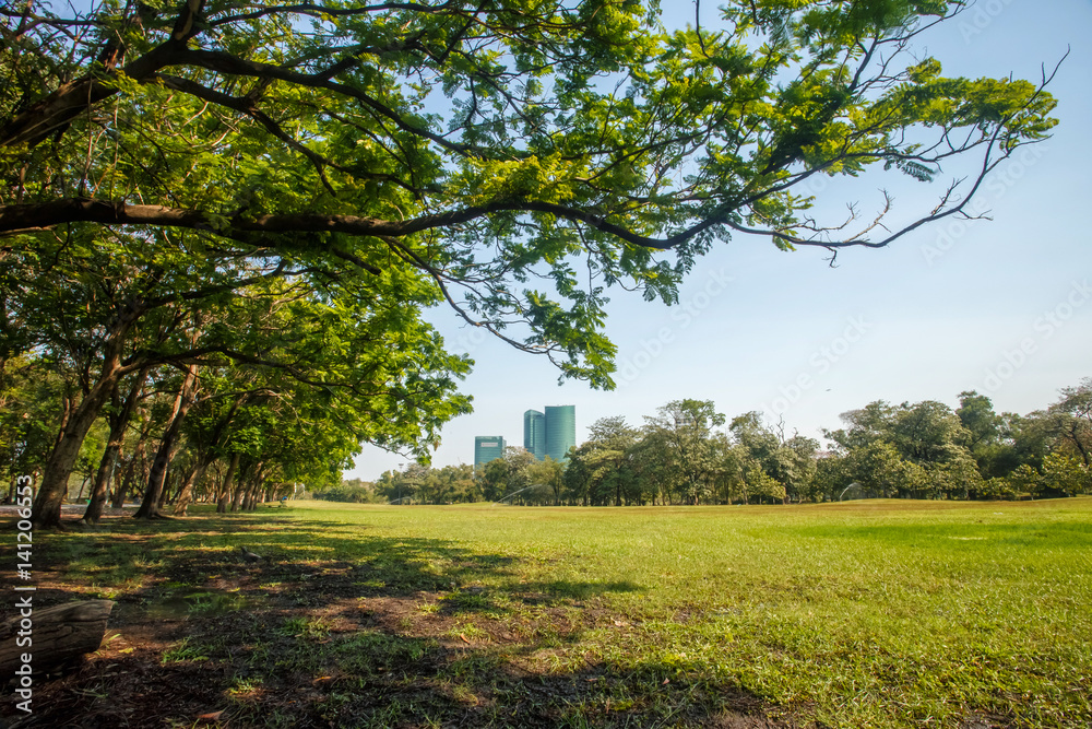 Beautiful park scene in public park with green grass field, Beautiful park scene in public park with green grass field,