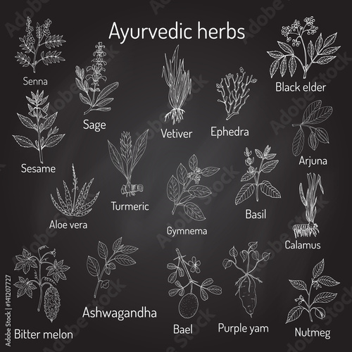 Fototapeta Naklejka Na Ścianę i Meble -  Ayurvedic herbs, natural botanical set