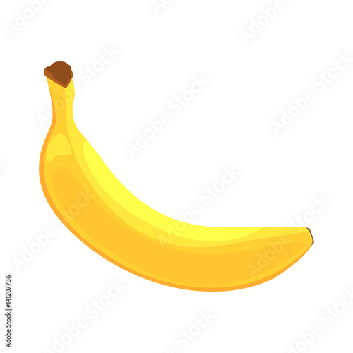 Banana Fruit, Food Item Rich In Proteins, Important Element Of The Healthy Balanced Diet Vector Illustration