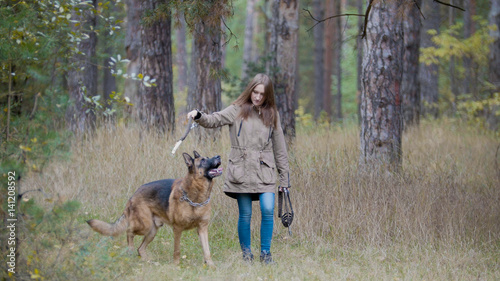 Young woman playing with a shepherd dog in autumn forest - throws a stick © KONSTANTIN SHISHKIN