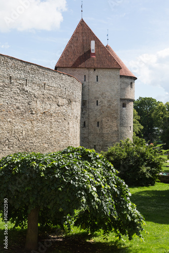 Tallinn's Wall