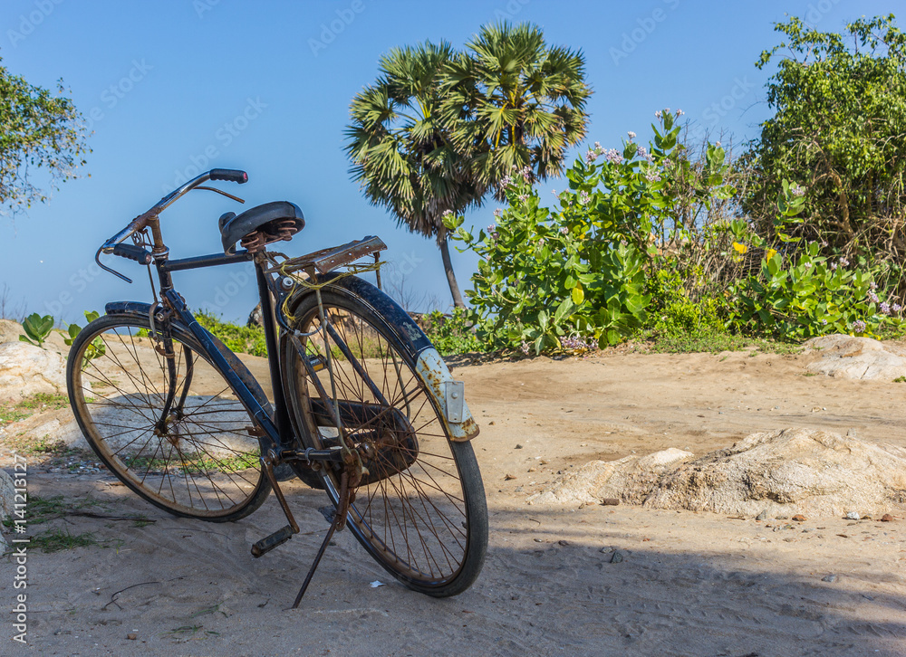 Beautiful beach lagoon bicycle rocks boy