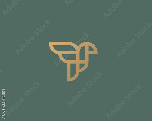 Abstract bird logo design. Creative eagle line symbol. Luxury linear falcon hawk logotype.