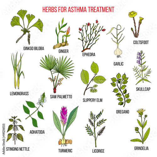 Natural herbs collection for asthma treatment