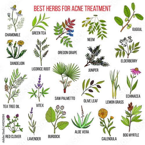 Collection of herbs for acne treatment