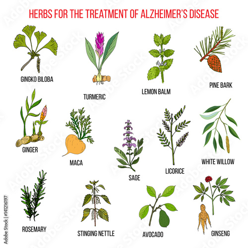 Collection of herbs for Alzheimer disease