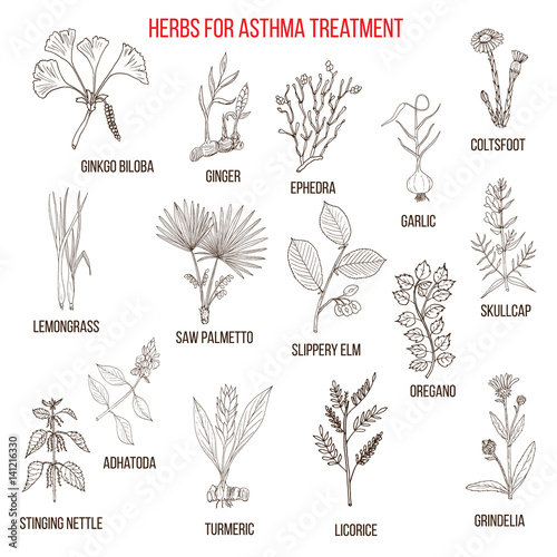 Natural herbs collection for asthma treatment