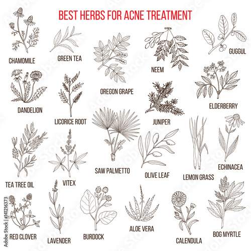 Collection of herbs for acne treatment