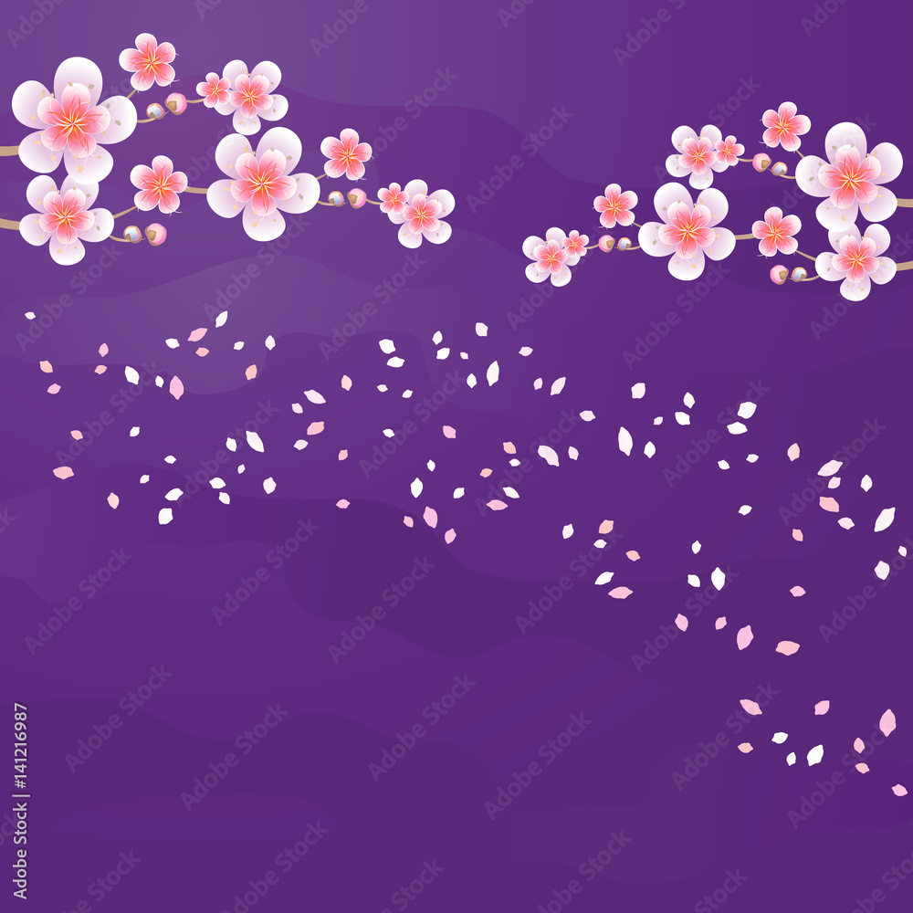 Branches of Sakura and petals flying isolated on dark purple violet background. Apple-tree flowers. Cherry blossom. Vector 