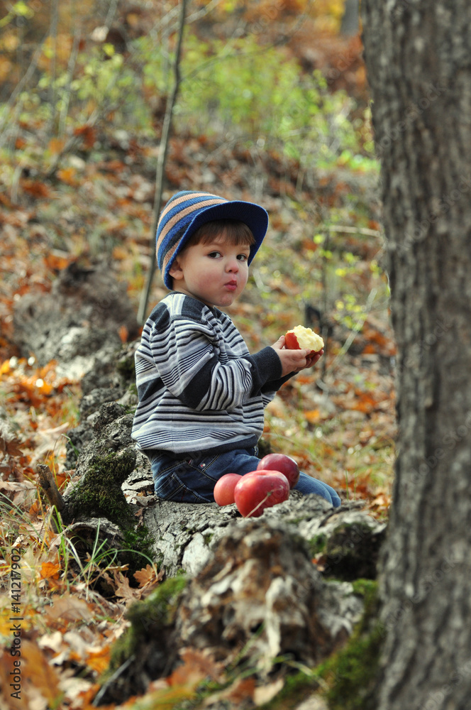 Happy little boy eating an apple in forest. Boy in nature. Kid eat organic apple Happy little boy eating an apple in forest. Boy in nature. Kid eat organic apple
