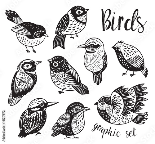 Graphic set with hand drawn exotic birds