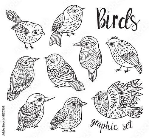Graphic set with hand drawn exotic birds. Line art design