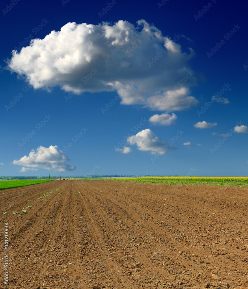 Plowed field in spring time with blue sky