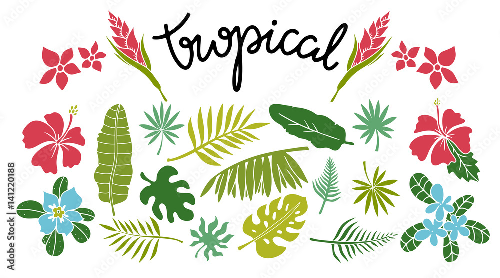 Tropical leaves, flowers set
