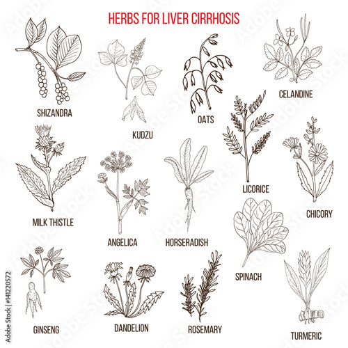 Best herbal remedies for liver cirrosis