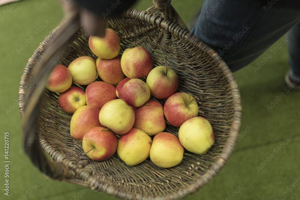 Ein Korb voll mit Äpfeln Stock Photo | Adobe Stock Ein Korb voll mit Äpfeln Stock Photo | Adobe Stock