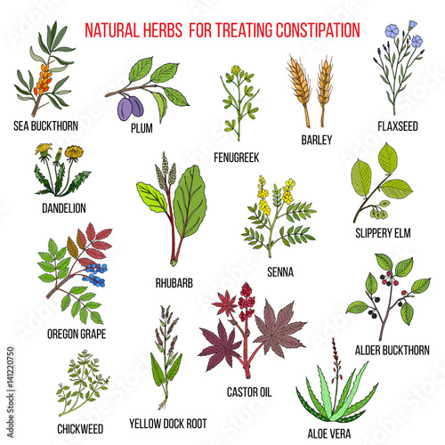 Best herbal remedies for treating constipation