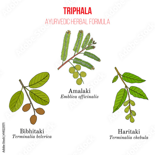 Best Ayurvedic herbal remedy formulation, Triphala with three herbs Amla, Hareetaki, Vibheetaki photo