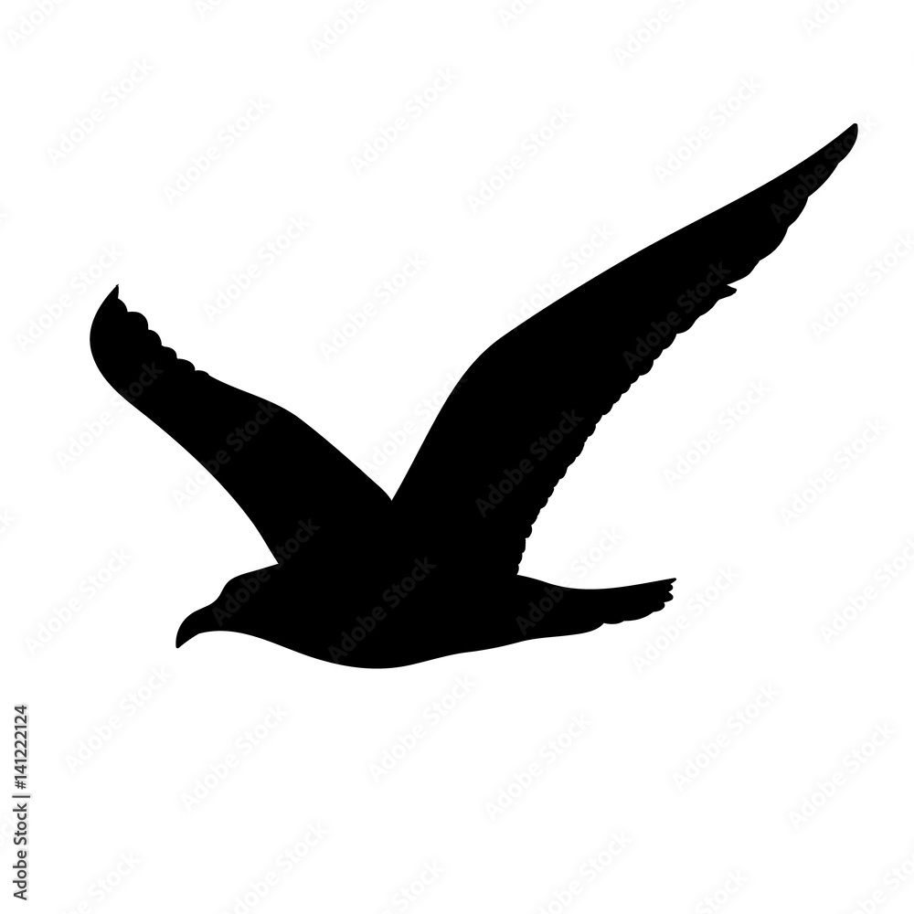 Fototapeta premium Flying Seagull Silhouette Concept