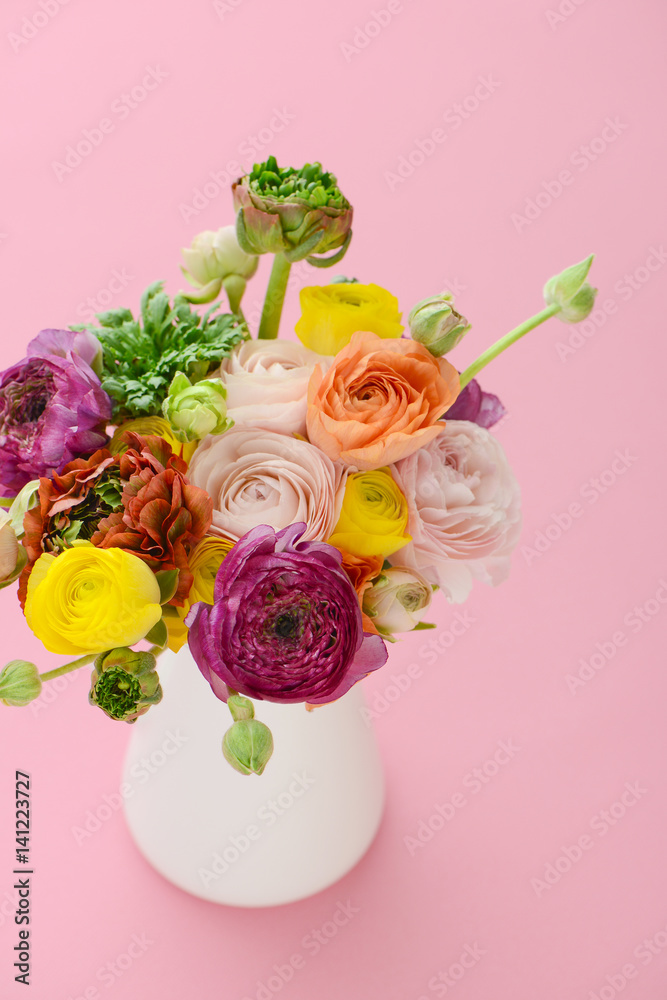 ラナンキュラス ピンク背景 Stock Photo Adobe Stock
