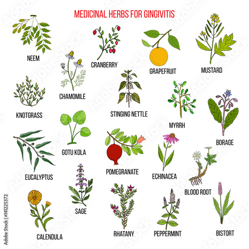 Best herbal remedies for gingivitis