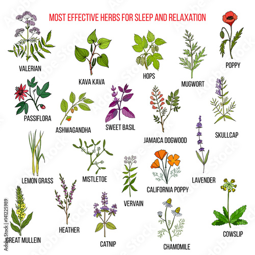 Best herbal remedies for sleep and relaxation