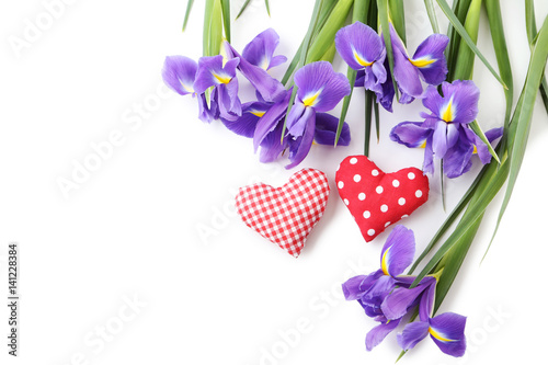 Fototapeta Naklejka Na Ścianę i Meble -  Bouquet of iris flowers on white background