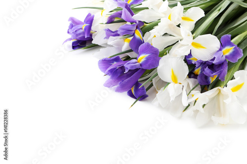 Fototapeta Naklejka Na Ścianę i Meble -  Bouquet of iris flowers isolated on a white