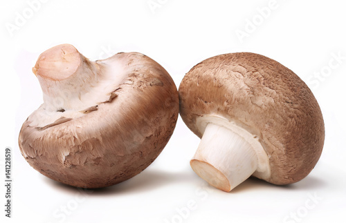 Mushrooms champignons on isolated background