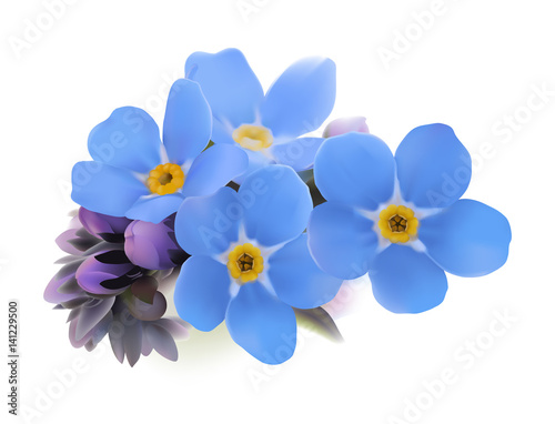 Forget-me-not. Myosotis.
Hand drawn vector illustration of blue spring flowers with yellow center on white background.

