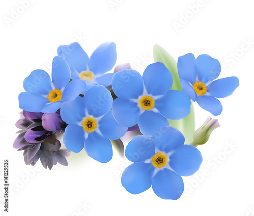 Forget-me-not. Myosotis.
Hand drawn vector illustration of blue spring flowers with yellow center on white background.

