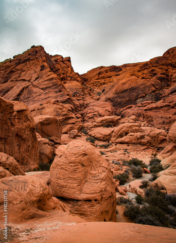 Red coloured Rock in the Red Rock Canyon National Conservation Area