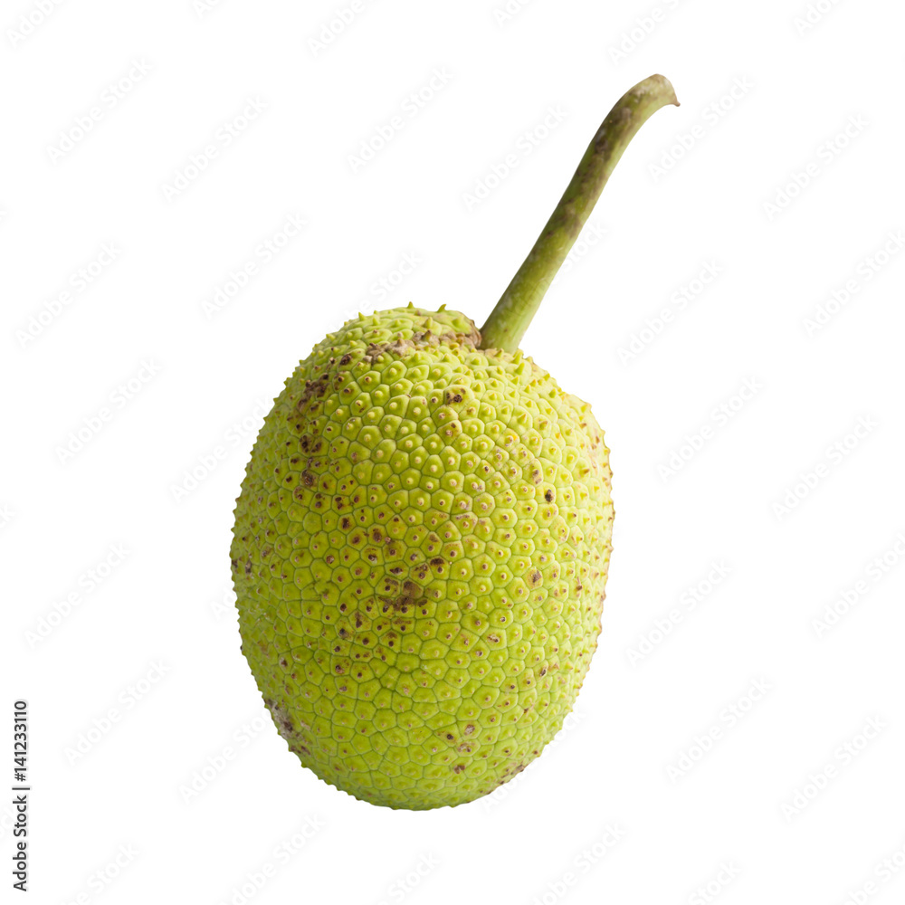 breadfruit isolate on white background breadfruit isolate on white background