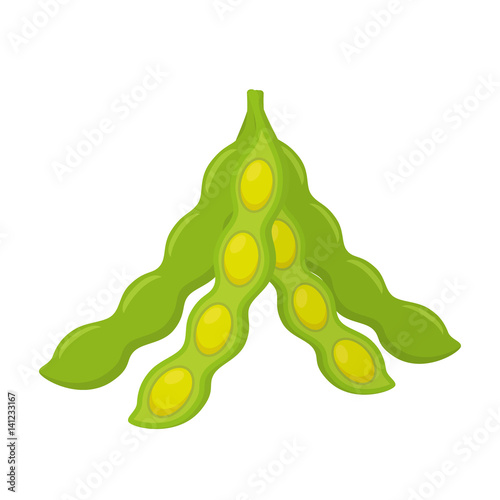 Soybean, vegetarian food. Organic vegetable, healthy bean. Cartoon flat style.