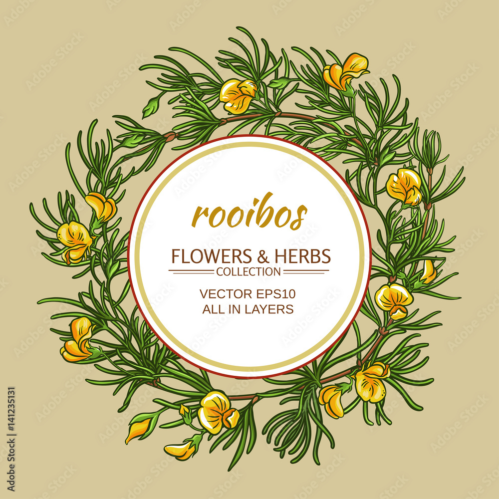 rooibos vector frame rooibos vector frame