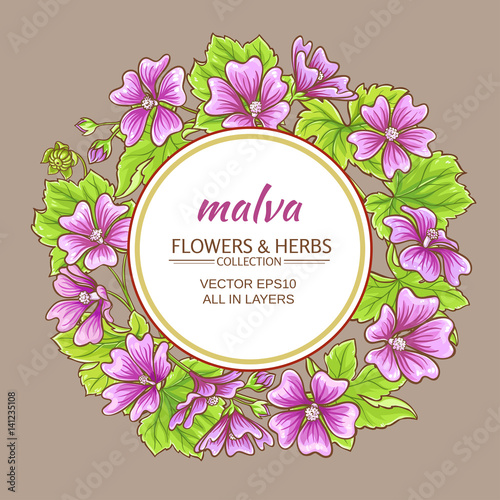 malva vector frame